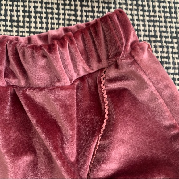 Vintage Pink Velvet Lingerie Set - Picture 4 of 5